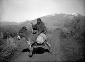 Pueblo Man Bound For Market, circa 1880-1902, Rose and Hopkins, Denver Public Library