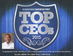 TOP 20 CEOs